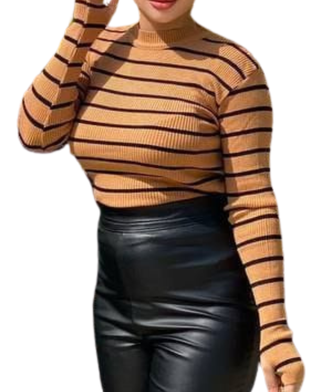 Striped Mohair High Neck Sweater